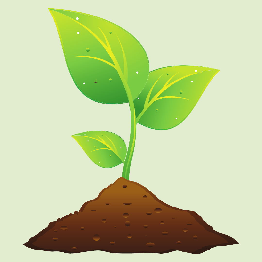 Manufacturer of Organic Fertilizer