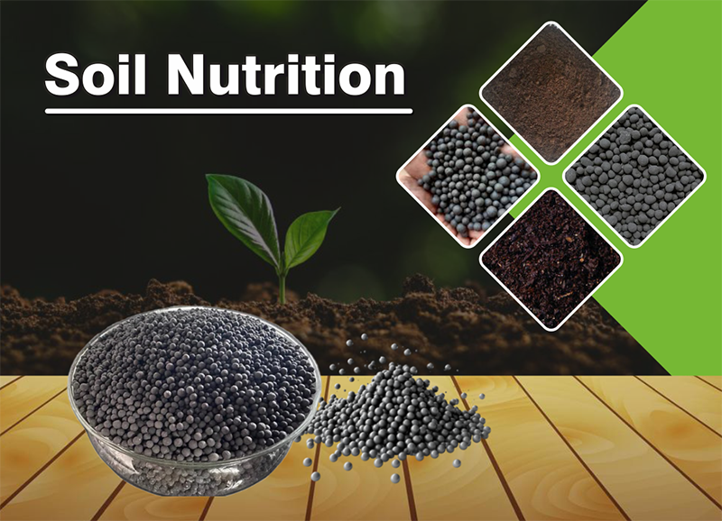 Manufacturer of Soil Nutrition in Ahmedabad