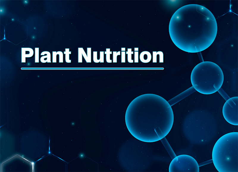 Manufacturer of Plant Nutrition in Ahmedabad