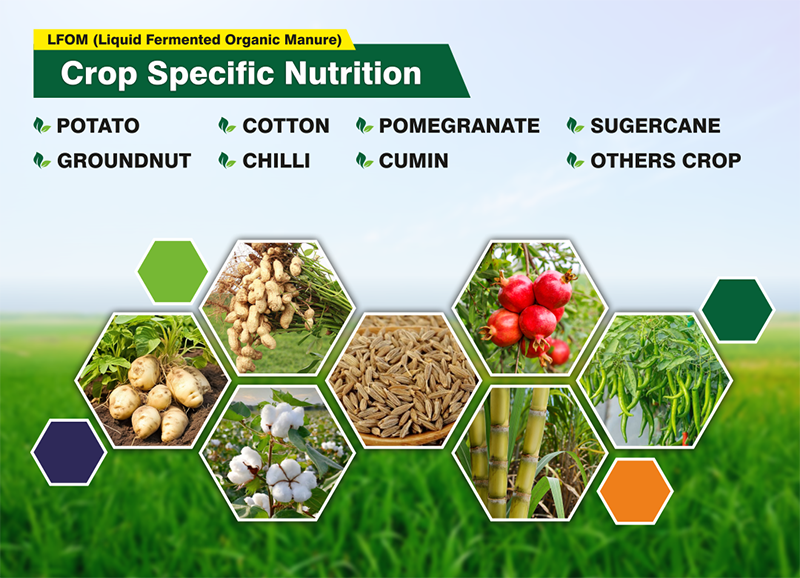 Manufacturer of Crop Specific Nutrition in Ahmedabad
