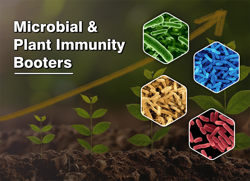 Manufacturer of Microbial and Plant Immunity Boosters in Ahmedabad