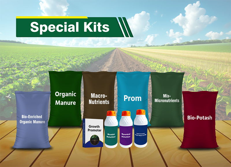 Manufacturer of Specialty Kits in Ahmedabad