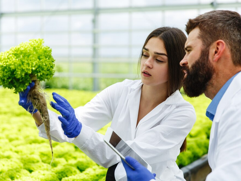 Manufacturer of Nutrition Farming Program in Ahmedabad