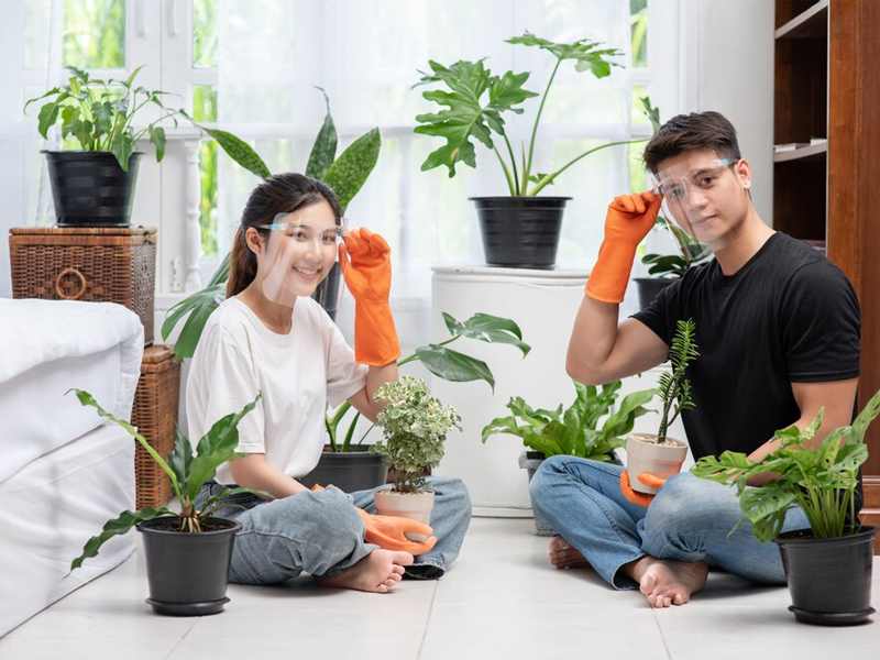 Manufacturer of Kitchen Gardening Solutions in Ahmedabad